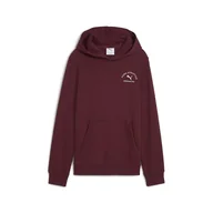 Bluzy dla chłopców - PUMA Chłopięca bluza z kapturem z grafiką klasy Tr B (1 szt.) - miniaturka - grafika 1