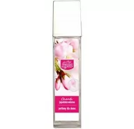 Zapachy do domu - Kala KALA CHANTI Olejek zapachowy japońska wiosna 100ml 5907731395083 - miniaturka - grafika 1