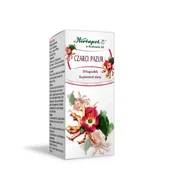 Stawy, mięśnie, kości - HERBAPOL Czarci Pazur- 30kaps. - miniaturka - grafika 1