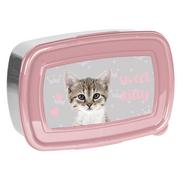Lunch boxy - Pudełko Lunchbox Śniadaniówka Paso Zwierzaki Koty - miniaturka - grafika 1