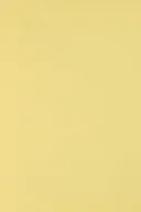 Dekoratorstwo - Papier brystol kolorowy 250g j. żółty SRA3 10ark. - miniaturka - grafika 1