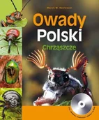 Poradniki hobbystyczne - Owady Polski. Chrząszcze - miniaturka - grafika 1