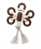 Zabawki dla psów - ECOMFY Zabawka Dental Toother Eco Woody 20 cm - Motyl - miniaturka - grafika 1