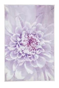 Dywaniki łazienkowe - Kleine Wolke Dahlia Dywanik Łazienkowy Lavender Fioletowy 70X120 Cm - miniaturka - grafika 1