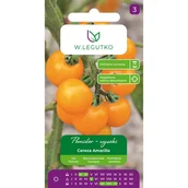 Nasiona i cebule - Pomidor wysoki Cereza Amarilla nasiona W.Legutko - miniaturka - grafika 1