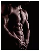 Malowanie po numerach - Malowanie po numerach - Męski tors 40x50cm - Twoje Hobby - miniaturka - grafika 1