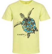 Koszulki męskie - Męski t-shirt z krótkim rękawem, z żółwiem, żółty - miniaturka - grafika 1