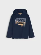 Swetry dla chłopców - Sinsay - Bluza - granatowy - miniaturka - grafika 1