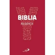 zbiorowa Praca Biblia młodych YOUCAT - Religia i religioznawstwo - miniaturka - grafika 2