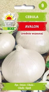 Cebula biała AVALON (późna)
Allium cepa L. - Nasiona i cebule - miniaturka - grafika 1