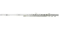 Instrumenty dęte - Roy Benson Flet poprzeczny FL-402R, z drewnianym etui z torbą RB700407 - miniaturka - grafika 1