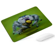 Podkładki pod mysz - Podkładka pod mysz Pająk - miniaturka - grafika 1
