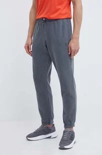 Reebok spodnie dresowe kolor szary gładkie 100200154 - Spodnie męskie - miniaturka - grafika 1