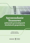Biznes - Sprawozdanie finansowe jednostek prowadzących działalność gospodarczą - No author - ebook - miniaturka - grafika 1