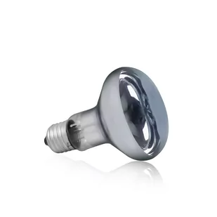 Żarówka Terra Day Heat UVA Happet 100W - Akcesoria do terrarium - miniaturka - grafika 1