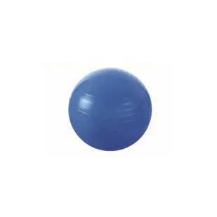 PIŁKA GIMNASTYCZNA 55CM PG - Piłki do ćwiczeń - miniaturka - grafika 1