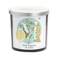 Świece - Świeca zapachowa 350g MINT LEAVES & LIME - LIŚCIE MIĘTY I LIMONKA - miniaturka - grafika 1