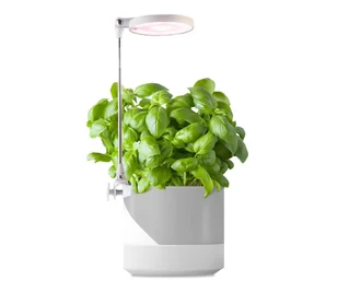 LED Lampka do wewnętrz dla roślin LED/10W/5V 3200K - Lampy stojące - miniaturka - grafika 1