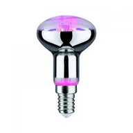Żarówki LED - Paulmann Lampa do doświetlania kwiatów LED E14 R50 4W - miniaturka - grafika 1
