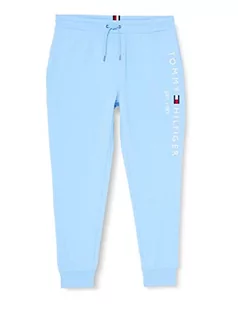 Tommy Hilfiger Męskie spodnie dresowe z logo Tommy, Błękitny statek, XL - Spodenki męskie - miniaturka - grafika 1