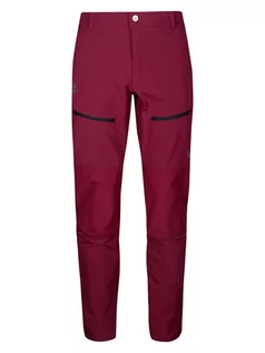 Odzież trekkingowa męska - Halti Spodnie funkcyjne "Pallas III Warm X-Stretch" w kolorze czerwonym - grafika 1