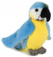 Maskotki i pluszaki - Maskotka Papuga Ara Niebieska - 12cm - miniaturka - grafika 1