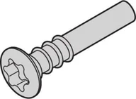 Śruby i nakrętki - SCHROFF Śruba z łbem stożkowym, Torx, 3 x 20, 100 szt. - miniaturka - grafika 1