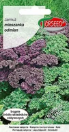 Nasiona i cebule - Nasiona Jarmuż mieszanka odmian 1g - Torseed - miniaturka - grafika 1