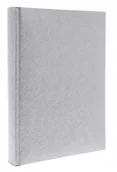 Albumy fotograficzne - Album kieszeniowy 300 zdjęć 10x15 Clean Silver 3up - miniaturka - grafika 1
