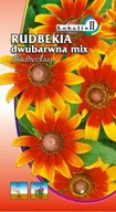 Nasiona i cebule - Rudbekia purpurowa mix 1g / L / - miniaturka - grafika 1