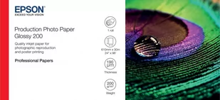 Epson Papier fotograficzny Production Photo Paper Glossy 200 24&quot; x 30m 200g/m2 C13S450371 - Papier do drukarek - miniaturka - grafika 1