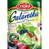 Galaretki - Cykoria GALARETKA OWOCE LEŚNE 52804556 - miniaturka - grafika 1