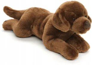 Maskotka Piesek Leżący Labrador Brązowy - 40cm - Maskotki i pluszaki - miniaturka - grafika 1