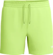 Kąpielówki męskie - Męskie Szorty ESSENTIALS 16" WSHT AM - miniaturka - grafika 1