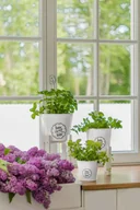 Kwietniki - Drewniany stojak na donice Podstawka biały L - miniaturka - grafika 1