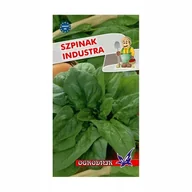 Nasiona i cebule - Szpinak Industra wiosenno-jesienny 10g / O / - miniaturka - grafika 1