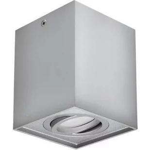Ideus Spot LAMPA sufitowa HARY 03715 kwadratowa OPRAWA metalowy downlight kostka cube srebrny 03715 - Lampy sufitowe - miniaturka - grafika 1