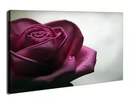 Obrazy i zdjęcia na płótnie - Smutna Róża - obraz na płótnie Wymiar do wyboru: 30x20 cm - miniaturka - grafika 1
