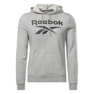 Bluzy męskie - Męska Bluza REEBOK RI FT BIG LOGO OTH HOOD HZ8786 – Szary - miniaturka - grafika 1