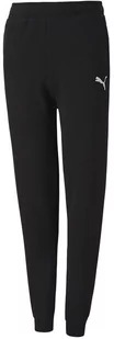 Spodnie dla dzieci Puma teamGOAL 23 Casuals Pants Jr czarne 656713 03-128 - Spodnie męskie - miniaturka - grafika 1