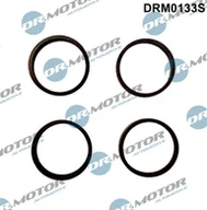 Silnik - akcesoria - Zestaw uszczelek, kolektor dolotowy Dr.motor Automotive DRM0133S - miniaturka - grafika 1