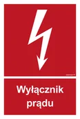 Systemy ekspozycyjne i znaki informacyjne - BC007 WYŁĄCZNIK PRĄDU, PS - PŁYTA PCV 1MM FOTOLUMINESCENCYJNA; (250X370MM) - miniaturka - grafika 1