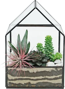 Rośliny mix w terrarium domek - Dekoracje domu - miniaturka - grafika 1