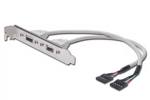 Digitus 0,25 m długość wtyczka A 2 X 5-pin IDC Slotblech kabel USB - Kable USB - miniaturka - grafika 1