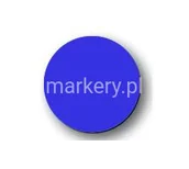 Magnesy - MAGNETOPLAN SYMBOL MAGNETYCZNY OKRĄGŁY NIEBIESKI śred 10 mm 1253003 - miniaturka - grafika 1