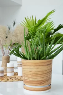 Ø 16 Doniczka Z Podstawką * Bambus Wzór * Nowoczesna drewnopodobna - Donice - miniaturka - grafika 1