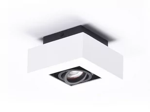 Azzardo NIKEA AZ4430 downlight natynkowy 1x50W/GU10 IP20 AZ4430 - Lampy sufitowe - miniaturka - grafika 1