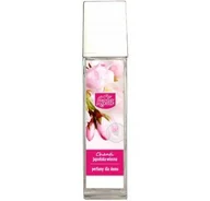 Zapachy do domu - Kala KALA CHANTI Olejek zapachowy japońska wiosna 100ml 5907731395083 - miniaturka - grafika 1