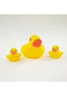 Albumy krajoznawcze - Rodzinka kaczuszek 3 szt. - miniaturka - grafika 1
