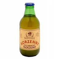 Soki i napoje niegazowane - REMBOWSCY 148Rembowscy Sok Jabłkowy Korzenny Tłoczony 250ml REMSOKJABKORZ - miniaturka - grafika 1